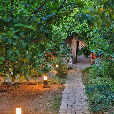 Harnup Kaş