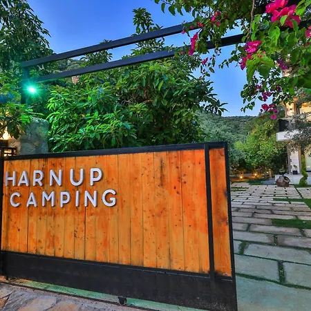 Harnup Kaş