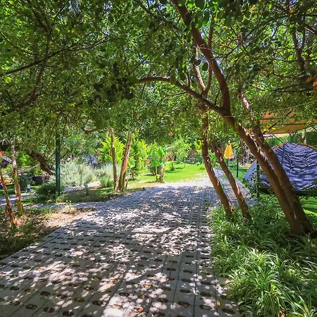 Lejlighedshotel Harnup Kaş