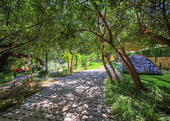 Апарт-отель Harnup Каш